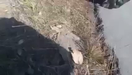 Myanmar: Video of the Chin National Army (CNA) firing a DShK at Junta/Tatmadaw forces in recent battles.